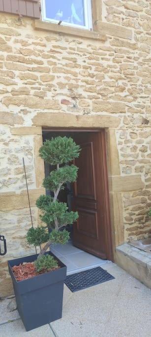 Le gîte des Pierres Dorées Marcilly-d'Azergues Extérieur photo