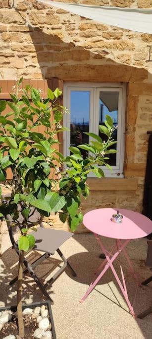 Le gîte des Pierres Dorées Marcilly-d'Azergues Extérieur photo