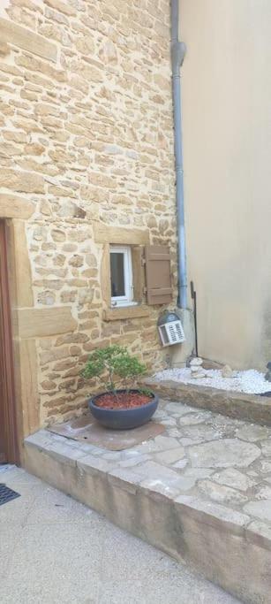 Le gîte des Pierres Dorées Marcilly-d'Azergues Extérieur photo